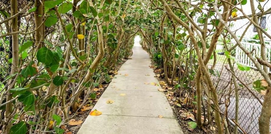 Apartamento en Palm Beach Shores, Florida 1 dormitorio, 501.67 m2 № 1145871