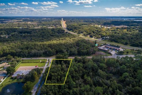 Land in Mount Dora, Florida № 1909386 - photo 1