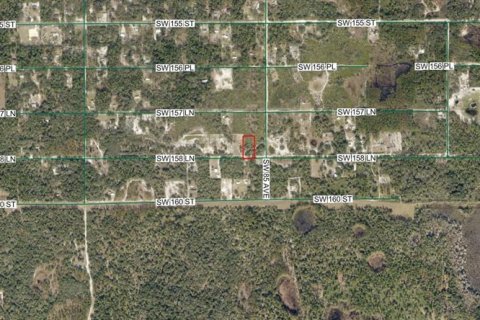 Terreno en venta en Dunnellon, Florida № 2217839 - foto 3