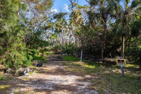 Land in Venice, Florida № 1540504 - photo 4