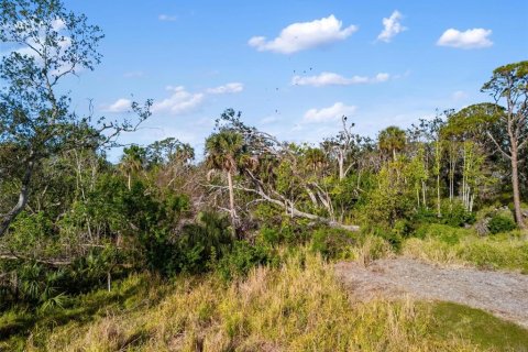 Land in Venice, Florida № 1540504 - photo 20