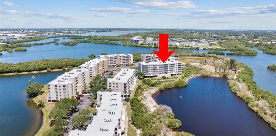 Condo in Saint Petersburg, Florida, 2 bedrooms  № 2094267