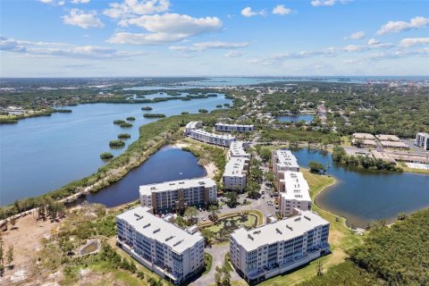 Condo in Saint Petersburg, Florida, 2 bedrooms  № 2094267 - photo 30