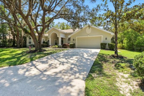 Villa ou maison à vendre à Homosassa, Floride: 3 chambres, 286.14 m2 № 2138206 - photo 4