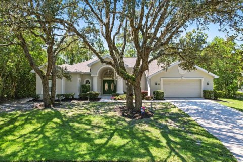 Villa ou maison à vendre à Homosassa, Floride: 3 chambres, 286.14 m2 № 2138206 - photo 5