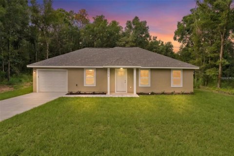 Villa ou maison à Ocklawaha, Floride 3 chambres, 114.73 m2 № 2329398