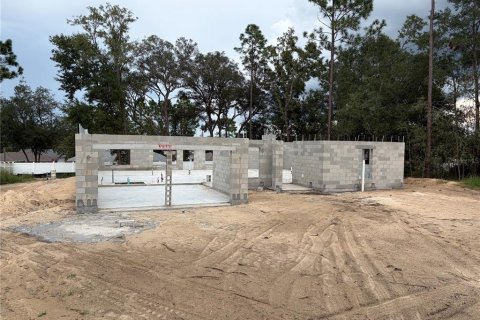 Villa ou maison à vendre à Summerfield, Floride: 4 chambres, 196.67 m2 № 2402996 - photo 6