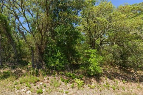 Terreno en Dunnellon, Florida № 2167845