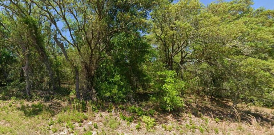 Terreno en Dunnellon, Florida № 2167845
