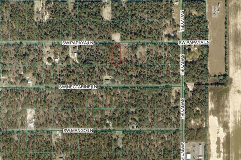 Terreno en venta en Dunnellon, Florida № 2167845 - foto 3