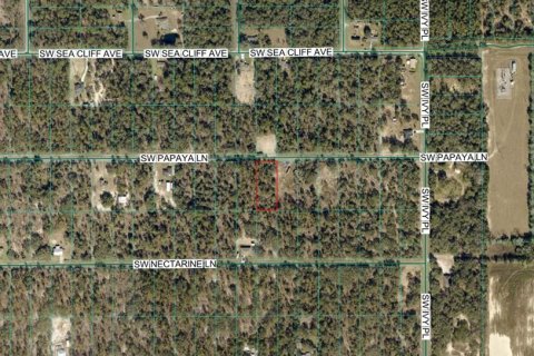 Terreno en venta en Dunnellon, Florida № 2167845 - foto 4