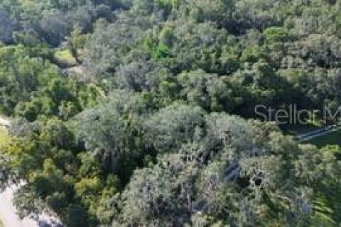 Terreno en venta en Spring Hill, Florida № 1918189 - foto 7