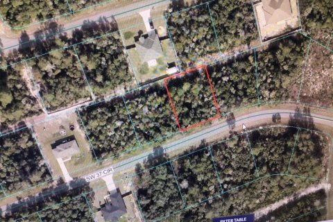 Land in Ocala, Florida № 2163514 - photo 2