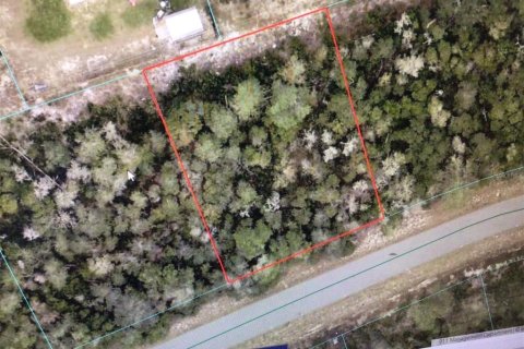 Land in Ocala, Florida № 2163514