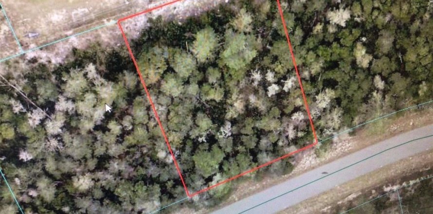 Land in Ocala, Florida № 2163514