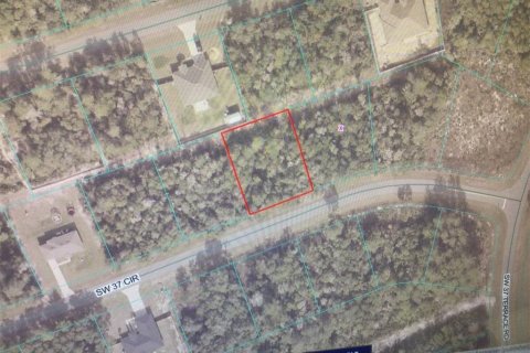 Land in Ocala, Florida № 2163514 - photo 3