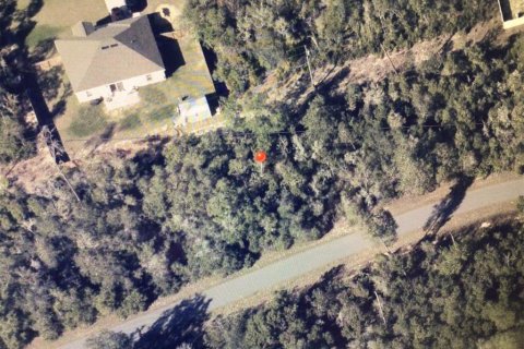 Land in Ocala, Florida № 2163514 - photo 5
