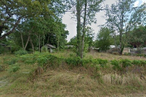 Land in Ocala, Florida № 2166009