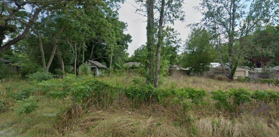 Land in Ocala, Florida № 2166009