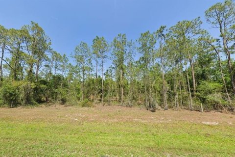 Terreno en venta en Lake Wales, Florida № 2164051 - foto 3