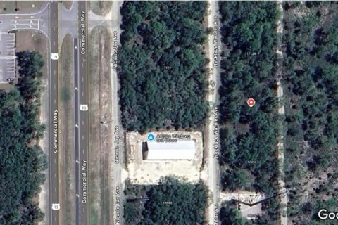 Land in Brooksville, Florida № 1659615 - photo 1