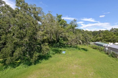 Land in Lutz, Florida № 1820728 - photo 1