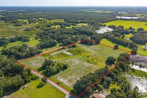 Land in Groveland, Florida № 1822388 - photo 4
