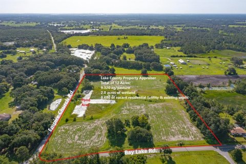 Land in Groveland, Florida № 1822388 - photo 3