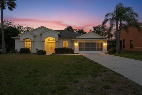 Villa ou maison à Spring Hill, Floride 3 chambres, 236.99 m2 № 2225576