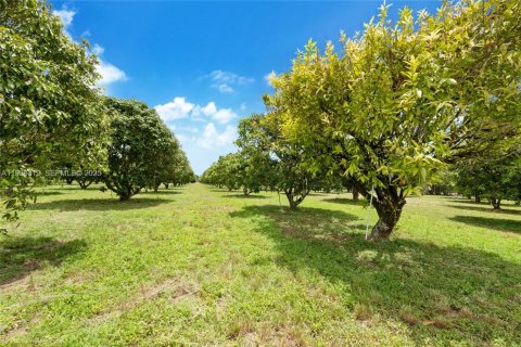Immobilier commercial à vendre à Miami, Floride № 1994324 - photo 7