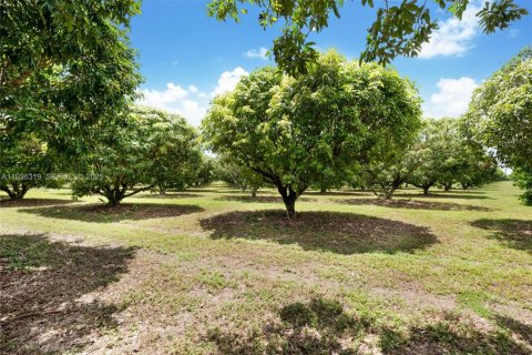 Immobilier commercial à vendre à Miami, Floride № 1994324 - photo 2