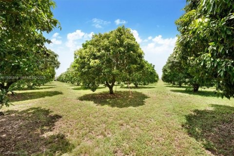 Immobilier commercial à vendre à Miami, Floride № 1994324 - photo 3