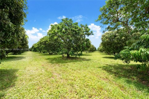Immobilier commercial à vendre à Miami, Floride № 1994324 - photo 13