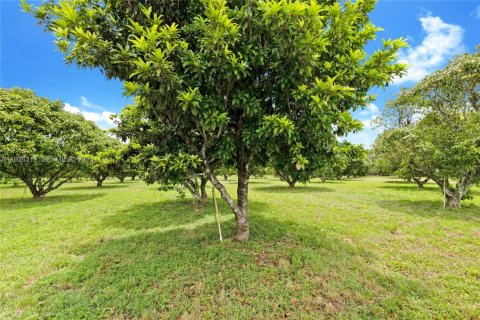 Immobilier commercial à vendre à Miami, Floride № 1994324 - photo 6