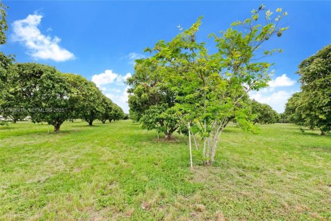 Immobilier commercial à vendre à Miami, Floride № 1994324 - photo 4