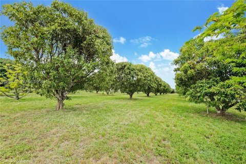 Immobilier commercial à vendre à Miami, Floride № 1994324 - photo 5