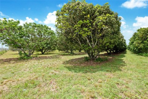 Immobilier commercial à vendre à Miami, Floride № 1994324 - photo 11