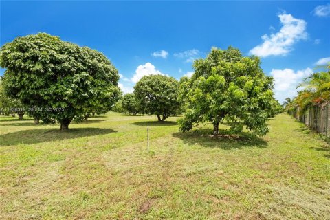 Immobilier commercial à vendre à Miami, Floride № 1994324 - photo 9
