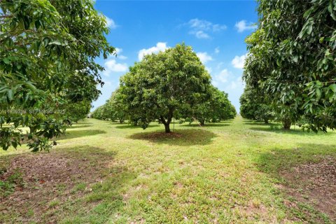 Immobilier commercial à vendre à Miami, Floride № 1994324 - photo 12