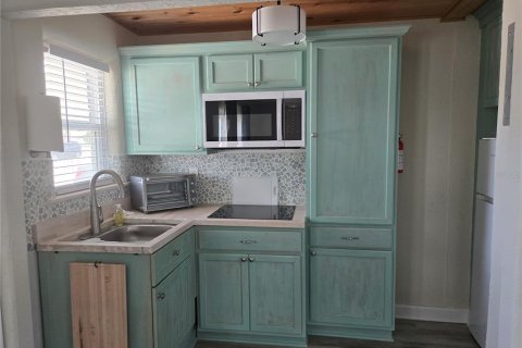 Appartement à louer à New Smyrna Beach, Floride: 1 chambre, 37.16 m2 № 1837274 - photo 3