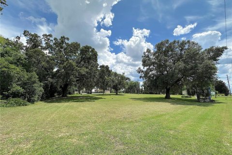 Terrain à vendre à Gainesville, Floride № 1804829 - photo 1