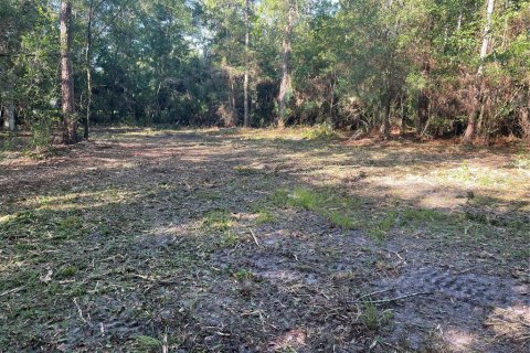 Land in Kissimmee, Florida № 1917061 - photo 5