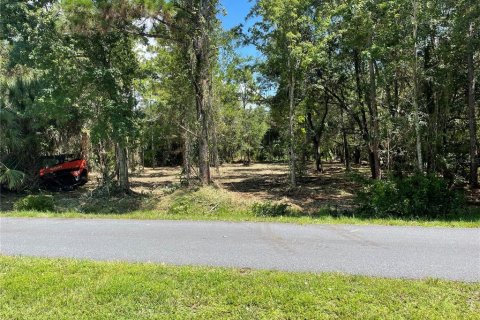 Land in Kissimmee, Florida № 1917061 - photo 4