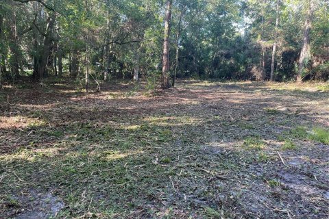 Land in Kissimmee, Florida № 1917061 - photo 3