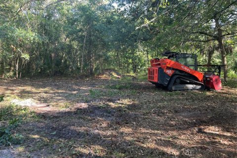 Land in Kissimmee, Florida № 1917061 - photo 7