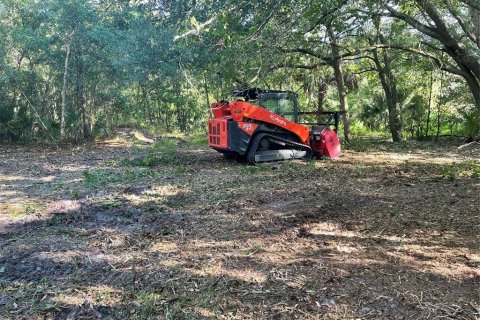 Land in Kissimmee, Florida № 1917061 - photo 6