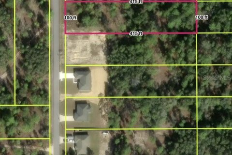 Land in Dunnellon, Florida № 2161714 - photo 2
