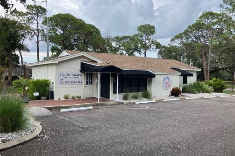 Commercial property in Tampa, Florida 264.77 sq.m. № 2224446
