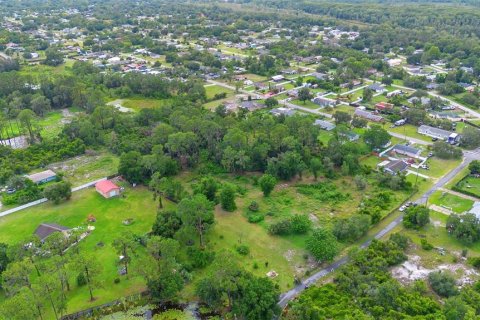 Land in Leesburg, Florida № 1822933 - photo 5