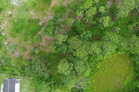 Land in Leesburg, Florida № 1822933 - photo 22